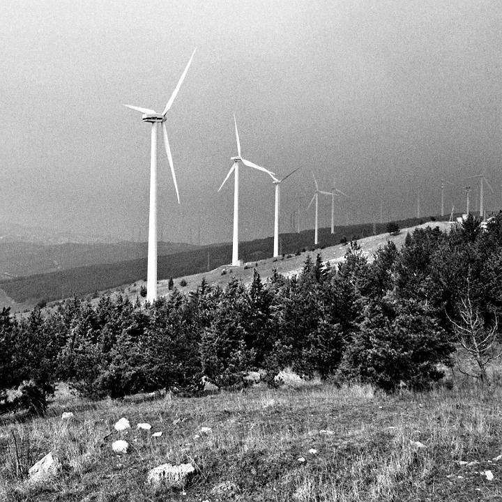 in alto 4.jpg